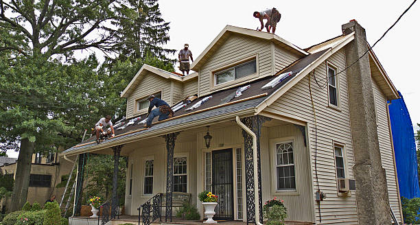 Best Flat Roof Repair Services  in Las Flores, CA